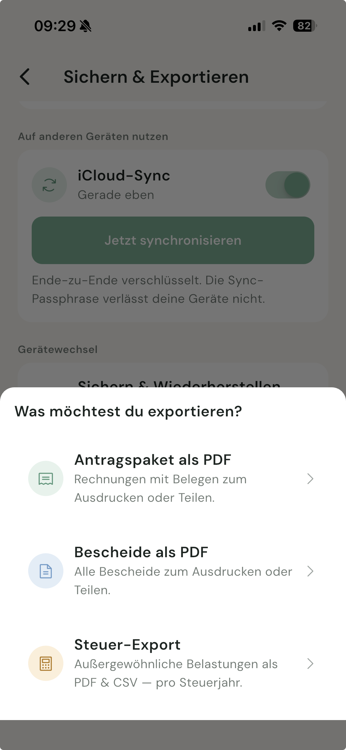 Export-Optionen in BeihilfeBuddy